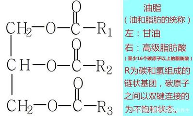 食用油中它的含量越高品质越好,这就是多不饱和脂肪酸