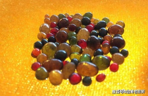 舍利子真不是结石,舍利子形成的科学原理