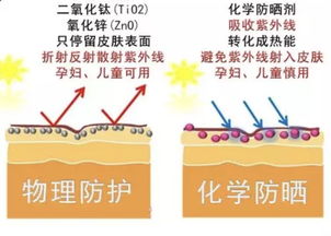 防晒没涂对、没涂足，终于知道自己为什么黑了——化学油脂的隐秘陷阱