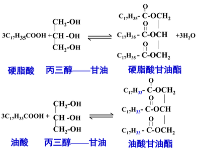 高中化学选修1 重要的体内能源——油脂
