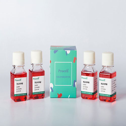 细胞化学产品及化学油脂采购指南 价格、供应商与选购要点