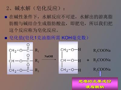 油脂的化学世界 从分子结构到化学反应