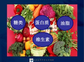 探秘油脂世界 高中化学选修五第四章第一节
